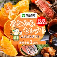 あとからセレクト【ふるさとギフト】1万円_ZZ1005