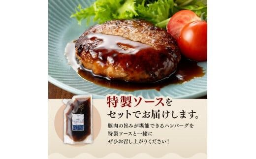 ハンバーグ 【発送月が選べる！】さんきょうみらい豚 ”ふんわりやわらか” ハンバーグセット(90g×11P、ソース200g付) 【 豚肉 国産 肉 豚 おかず 惣菜 ハンバーグ 】ⅡⅥ [D00101]