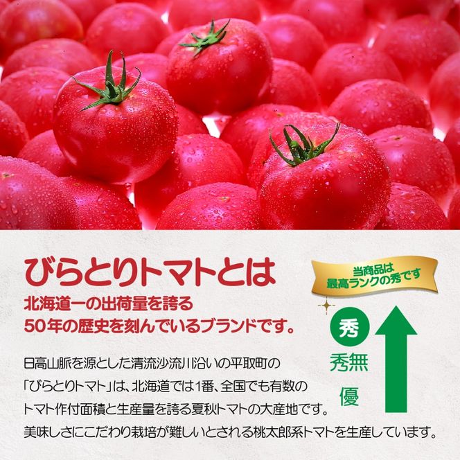 【先行予約/2026年6月以降発送】【家庭用】ニシパの恋人「びらとりトマト」秀品 1箱 約4kg（20～24個 満詰め） BRTO001