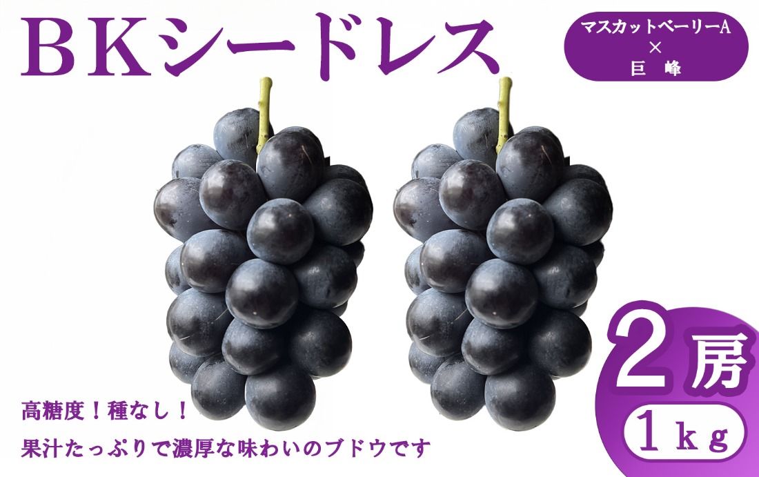 [2025年発送分先行予約][FUJIKAWA GRAPE]BKシードレス(1kg・2〜3房) ブドウ ぶどう 葡萄 巨峰 マスカットベーリーA 高糖度 糖度高い くだもの 果物 フルーツ 山梨 やまなし 富士川町