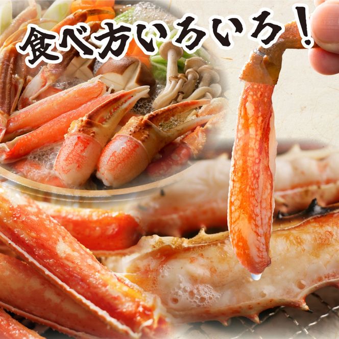 オオズワイ姿（訳あり品）2kg｜かに カニ ズワイガニ オオズワイ【ysk-008】