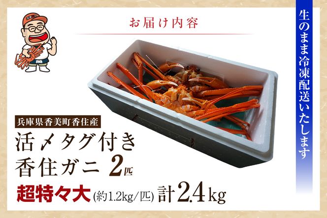 《先行予約》【香住ガニ 活〆タグ付き香住ガニ 超特々大 約1.2kg×2匹（合計約2.4kg以上）生冷凍】【令和9年2月中旬以降発送予定】国産 カニ かに 蟹 急速 冷凍 生 ベニズワイガニ しゃぶしゃぶ 刺身 かにすき 焼きガニ かに鍋 姿 脚 爪 旨味 甘味 鮮度 大人気 人気 おすすめ ランキング ふるさと納税 返礼品 本場 香住 兵庫県 香美町 日本海フーズ 07-136