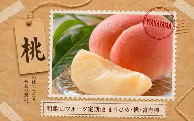 【全3回】紀州和歌山産旬のフルーツ定期便 (いちご・桃・富有柿) 【tkb373】