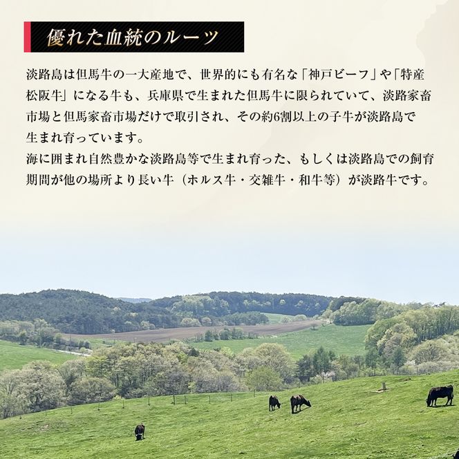 淡路牛 ロース（焼き肉用） ８００ｇ