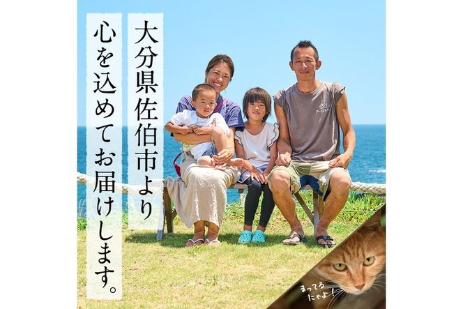 深島の猫へ寄付と深島猫グッズ (Aプラン・計4種) 猫 ネコ ねこ 寄附 ポストカード カレンダー ハンドタオル 大分県 佐伯市【EK08】【でぃーぷまりん】