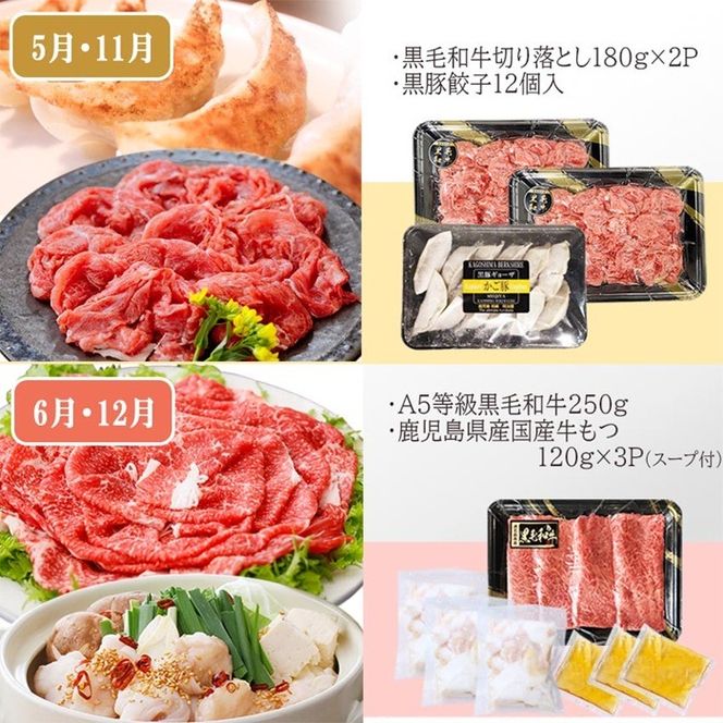 定期便(6回配送)　枕崎お楽しみ定期便(黒毛和牛・黒豚・加工品etc) FF-6003 【1487879】