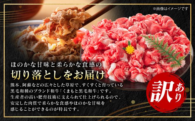【訳あり】 【A4～A5ランク】 くまもと黒毛和牛 切り落とし 1kg （250g×4パック） 和牛 牛肉 お肉 黒毛和牛 牛肩 バラ 冷凍 炒め物 すき焼き しゃぶしゃぶ おかず 熊本県 八代市