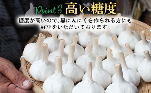 FK7-0181_【先行予約】 嘉島町産 乾燥にんにく 1kg