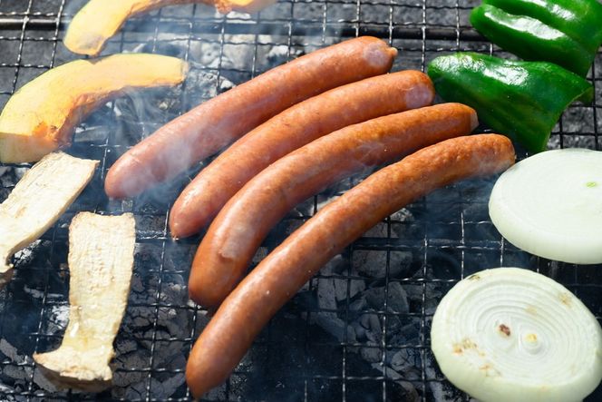 夢やまびこ豚の怪獣ソーセージセット 4種 | ソーセージ ウィンナー チョリソー ハム 夢やまびこ豚 加工肉 豚肉 セット BBQ 真空パック 冷凍