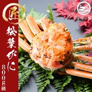 茹で松葉蟹 中1杯 800g級 蟹 カニ かに 松葉蟹 松葉ガニ ズワイガニ ボイル myz05 myz11 myz16