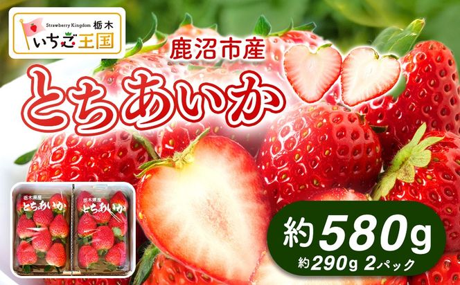 【先行予約】出会いの森いちご園 とちあいか （290g×2パック） | いちご イチゴ 苺 栃木県 果物 くだもの フルーツ とちあいか 新鮮 贈答 ギフト デザート スイーツ ※離島への配送不可 ※2026年12月上旬頃から2027年3月下旬頃に順次発送予定