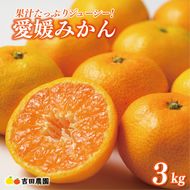 先行予約 愛媛みかん 3kg 9000円 愛媛 みかん 温州みかん こたつ みかん mikan 蜜柑 ミカン 家庭用 贈答用 ギフト プレゼント お歳暮 産地直送 国産 農家直送 糖度 期間限定 数量限定 特産品 ゼリー ジュース アイス 人気 限定 甘い フルーツ 果物 柑橘 先行 事前 予約 受付 ビタミン 美味しい おいしい 吉田農園 愛南町 愛媛県