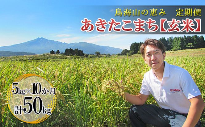 米 お米 【定期便】5kg×10ヶ月 鳥海山の恵み 農家直送！ あきたこまち（玄米） 10カ月 10回 サブスク