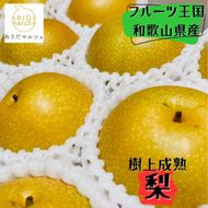 和歌山の樹上成熟梨 約4kg（12～15玉） ※2026年8月上旬～9月中旬頃発送予定| 先行予約 果物 フルーツ 甘い［MS129］ 303446_XD90279