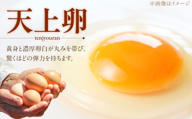 キミとプリン カフェオレ ◆ 6個 セット ◆ 《糸島市》 【株式会社おおはまファーム】 [AKH014] プリン コーヒー コーヒープリン 天上卵 UOVO