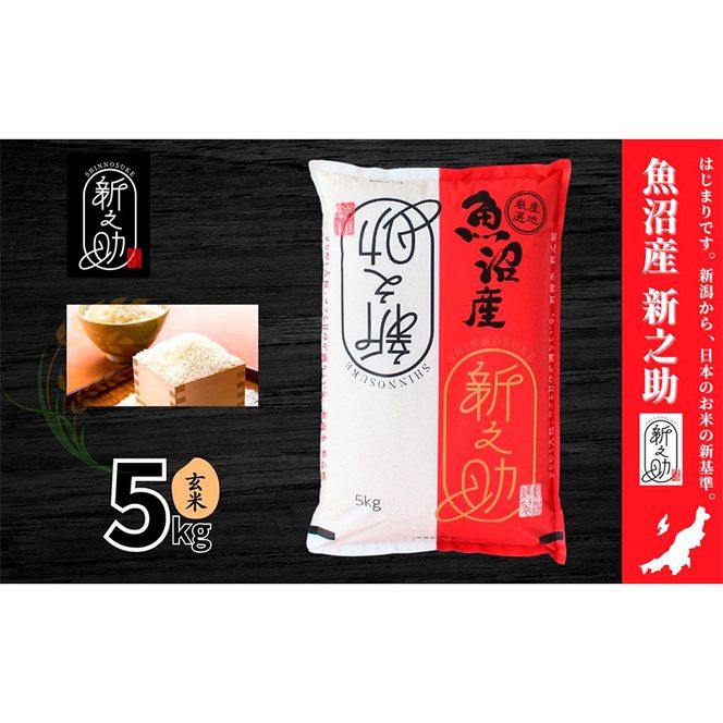 【令和7年産】魚沼産新之助(玄米)5kg 米 お米 玄米 しんのすけ 中魚沼 新潟県 十日町市
