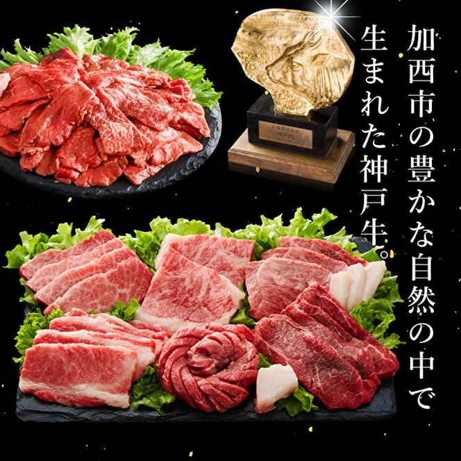 神戸牛 定期便 4ヶ月連続お届け 満足4種 赤身焼肉 肩ロースすき焼き肉 ロースステーキ 焼肉食べ比べ