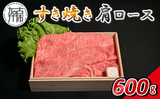 【14営業日以内に発送】神戸牛すき焼き(肩ロース) 600g(200g×3)《 肉 牛肉 神戸牛 肩ロース スライス肉 すき焼き 600g 冷凍 》【2503A16905】