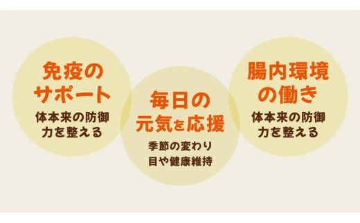 花びらたけ 粉末 3袋 セット（各 50g ） （茨城県共通返礼品：城里町） 花びら茸の粉末 ハナビラタケ 野菜 乾燥 花びらたけ きのこ パウダー 手軽 時短 [DY008us]