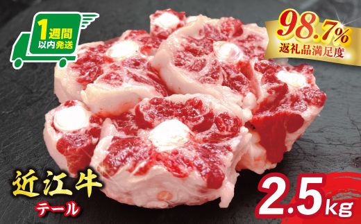 【1週間以内発送】【数量限定】希少部位　近江牛テール2.5kg（約500g×5）小分けで便利【FO72W】