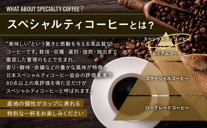 【AMANO COFFEE ROASTERS】スペシャリティコーヒー 上賀茂ブレンド100g 今宮ブレンド100g＜豆タイプ＞｜京都 コーヒー 人気ブランド［ 京都 アマノコーヒー スペシャルティコーヒー豆専門店 ブレンドコーヒー 人気 おすすめ ギフト お取り寄せ 通販 送料無料 ふるさと納税 ] 261009_A-AAE013VC03