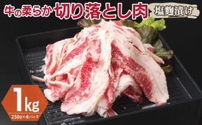 G3392 牛肉 切り落とし 塩麹漬け 合計1kg【味付け 小分け 焼くだけ 簡単調理 BBQ 牛肉 250g×4袋】
