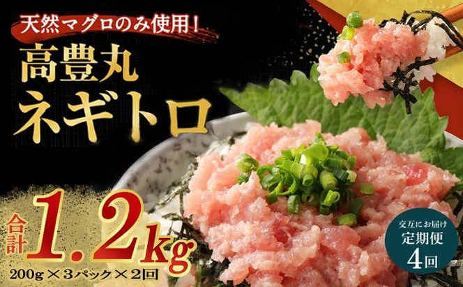 【交互定期便 / ４ヶ月連続】 土佐流藁焼きかつおのたたき２節と高豊丸ネギトロ６００ｇ 魚介類 海産物 カツオ 鰹 わら焼き 高知 コロナ 緊急支援品 海鮮 冷凍 家庭用 訳あり 不揃い 規格外 連続 ４回 小分け 個包装 まぐろ マグロ 鮪 交互 藁 藁焼き かつお 室戸のたたき　tk056