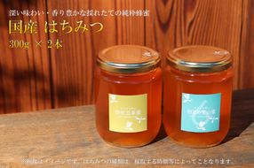 E-25 国産はちみつ300g 2本セット