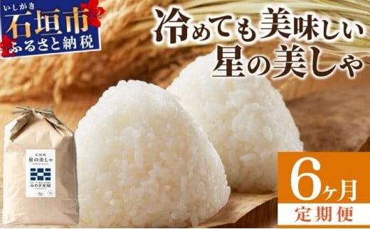 [定期便6回]6ヶ月連続お届け 石垣島産 星の美しゃ(ほしのかいしゃ)30kg(5kg×6回)[ 日本一早い新米の産地 ふるさと納税 沖縄県 石垣市 石垣島 米 星 星の美しゃ]MK-7