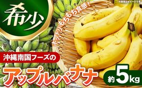 国産 希少種！南国フーズのアップルバナナ 約5kg - バナナ ばなな 小ぶり 沖縄県 産地直送 果物 フルーツ 南国 朝食 おすすめ 沖縄県 八重瀬町