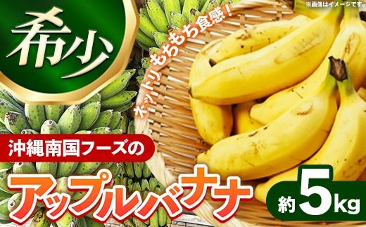 yꌧdzY 󏭎I썑t[ỸAbvoii 5kg - oii ΂Ȃ Ԃ ꌧ Yn ʕ t[c 썑 H  ꌧ d