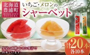 北海道 豊浦町 いちご・メロンのシャーベット 10本×2種 