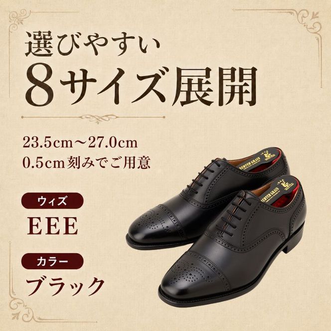 スコッチグレイン ビジネスシューズ メンズ アシュランス 3520 セミブローグ 革靴 本革 日本製 EEE 送料無料 ギフト