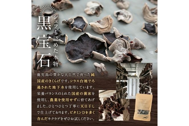 a769 国産乾燥きくらげ計120g(40g×3袋)【姶良のアグリM～】国産 きのこ キノコ 茸 野菜キクラゲ きくらげ 木耳 乾燥 天日干し 小分け 常温保存 セット 化粧箱 ギフト箱