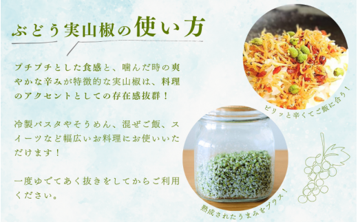  冷凍 ぶどう山椒 山椒 選べる容量 500g / 生山椒 生実山椒 さんしょう 香辛料 調味料 薬味 和歌山 紀美野【twn044-cbudo-500】