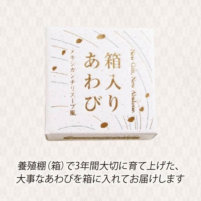 箱入りあわび 2個セット メキシカンチリスープ風 缶詰 鮑 アワビ 翡翠鮑 箱入り 国産 海鮮 養殖 おつまみ 大船渡 三陸 岩手 [hisui015]