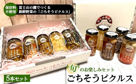 yÉaszs{̂y݃ZbgtsNX 5{Zbg b sNX ҂邷 Zbg lߍ킹 N wV[  H Е