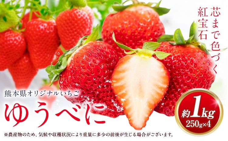 ゆうべに 約1kg 250g×4パック エフビーネット 道の駅竜北[2027年1月上旬-4月中旬頃出荷]熊本県 氷川町 苺 フルーツ 国産 果物 熊本県産 冷蔵 小分け 旬 いちご---hkw_efb_3_1kg---