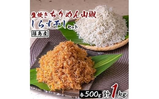 ＜篠島産＞生炊きちりめん山椒・しらす干しセット 計1kg