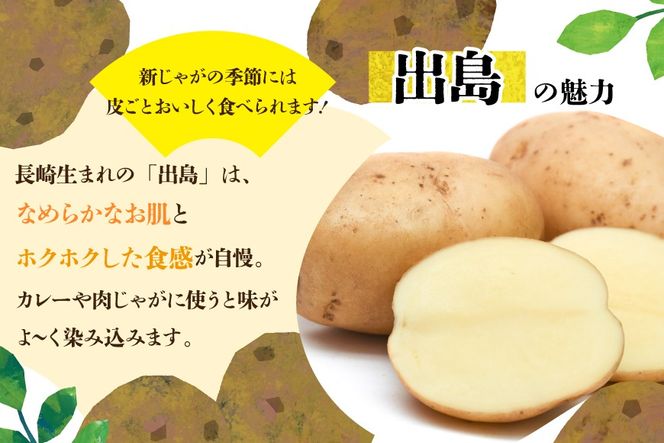 AK077 じゃがいも ながさき黄金 出島 じゃがいも食べ比べセット 計5kg [ 野菜 芋 ジャガイモ じゃがいも 5キロ ほくほく 国産 常備野菜 合同会社YT 長崎県 島原市 ]