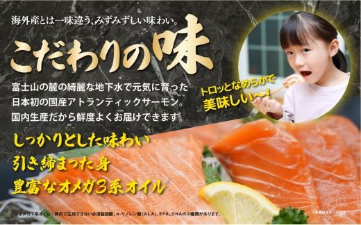 1F21小山町産アトランティックサーモン（８パック）