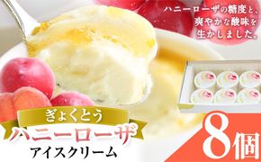 糖度17度の甘さ♪ハニーローザアイスクリーム 120ml 8個 熊本県 玉名郡 玉東町 すもも ハニーローザ アイス ぷらっとぎょくとう《60日以内に出荷予定(土日祝除く)》---gkt_prt_13_8k---