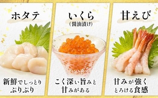 【定期便 6ケ月連続】6種類の海鮮 お刺身セット＜6種類 ×5パック 冷凍＞ | 刺身 さしみ 刺し身 刺身セット 海鮮丼セット 海鮮丼の具 盛り合わせセット 小分け サーモン マグロ イクラ ホタテ 甘エビ 白身 いくら醤油漬け 魚介類 海鮮丼 手巻き寿司 カルパッチョ ヒロセ 産地直送 定期便 北海道 釧路町 釧路超 特産品　121-1262-136-063