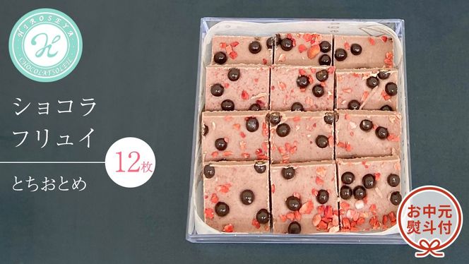 【 お中元 熨斗 付】 ショコラフリュイ とちおとめ 12枚 チョコレート チョコ スイーツ デザート 高級 ギフト 贈り物 お礼 プレゼント 手土産 お菓子 [DJ50-NT]