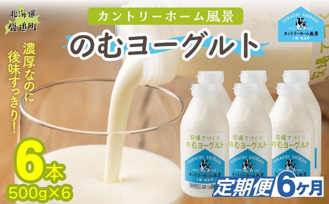 【定期6ヶ月】のむヨーグルト 500g ×6 SKB049