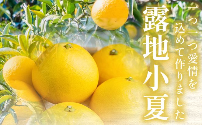 露地 小夏 5kg 家庭用 混合（M〜Lサイズ） フルーツ 果物 くだもの こなつ 5きろ ５キロ わけあり 訳あり 美味しい 高知県 香南市 nm-0005