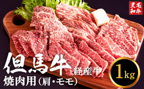 【累計2万パック突破！】但馬牛経産牛「焼肉用」（肩・モモ）1kg(500g×2) 020AA11N.／焼肉セット 黒毛和牛 いちかわ精肉店 経産牛 牛肉 肉 お肉 国産 bbq バーベキュー 焼き肉セット アウトドア キャンプ 冷凍 焼き肉用