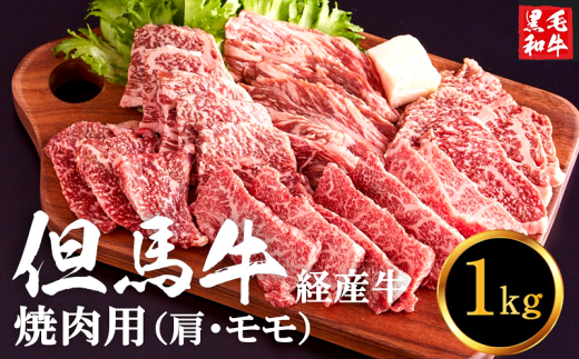 【累計2万パック突破！】但馬牛経産牛「焼肉用」（肩・モモ）1kg(500g×2) 020AA11N.／焼肉セット 黒毛和牛 いちかわ精肉店 経産牛 牛肉 肉 お肉 国産 bbq バーベキュー 焼き肉セット アウトドア キャンプ 冷凍 焼き肉用