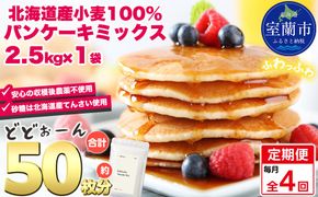 【毎月定期便】北海道パンケーキミックス 2.5kg 全4回 MROBI034