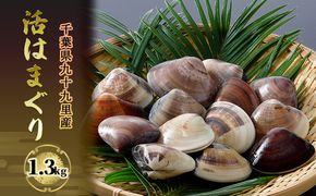 はまぐり 千葉 九十九里産 活はまぐり 1.3kg 貝 海鮮 海産物 海の幸 魚介 魚介類 水産 水産物 はまぐり鍋 バーベキュー BBQ お吸い物 国産 ハマグリ 蛤 産地直送 冷蔵 冷蔵配送 千葉県 九十九里 九十九里町